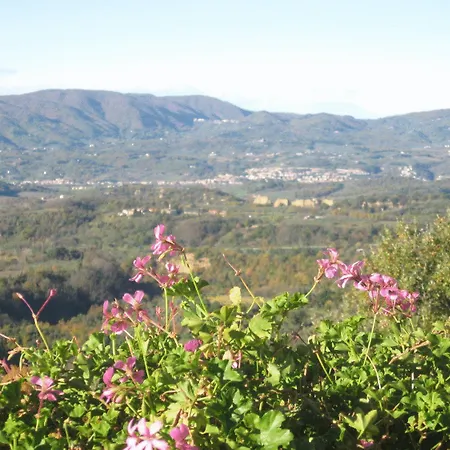 La Capitata